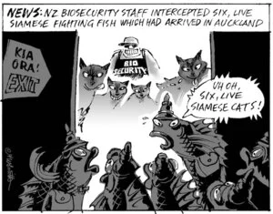 'News - NZ Biosecurity staff intercepted six, live Siamese fighting fish which had arrived in Auckland'. "Uh oh, six, live Siamese cats!" 9 July, 2008