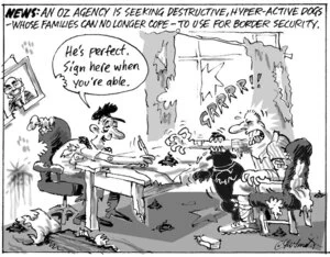 News. An Oz agency is seeking destructive hyper-active dogs - whose families can no longer cope - to use for border security. "He's perfect, sign here when you're able." "GRRRR". 17 October, 2007