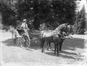 Pair in a horse drawn buggy