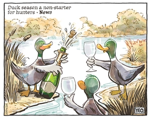 Duck season a non starter for hunters - News