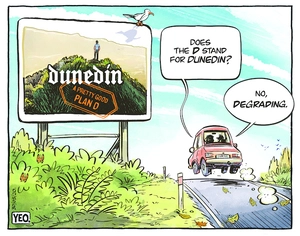 Dunedin's Plan D