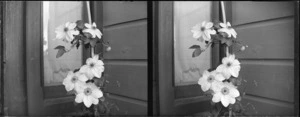 Flowers in the garden [at photographer William and Lydia Myrtle Williams' house Carlyle Street, Napier, Hawkes Bay Region]