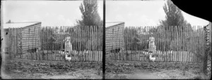 Unidentified man and woman feeding chickens in enclosure, Brunswick, Whanganui District