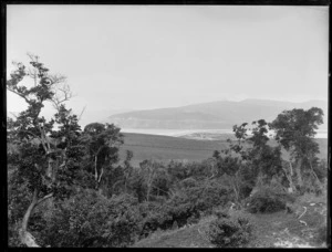 View across paddocks to a beach outside Dunedin, Otago