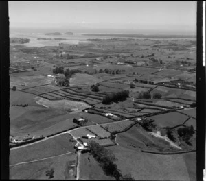 Rural Katikati, Western Bay of Plenty