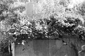 The Harris family grave, plot 0507, Bolton Street Cemetery.