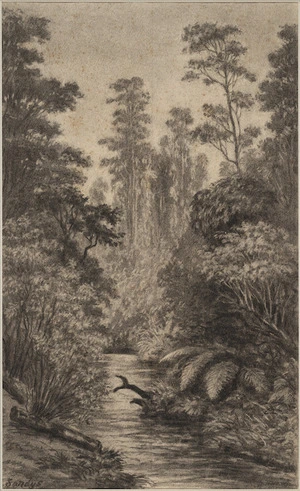 Sandys, Edward Roper Stapleton, b 1845 :Gully below Wadestown, Wellington. [1888?]