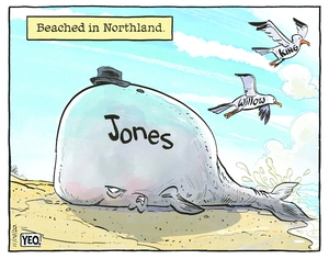 Shane Jones - Beached Whale