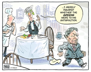 Winston Peters and the Green Party