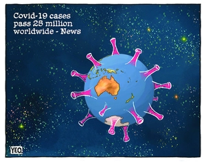 COVID-19 cases pass 25 million worldwide