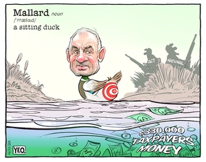 Mallard - a sitting duck
