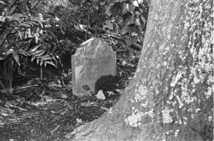 The grave of George Adams, plot 0401, Bolton Street Cemetery.