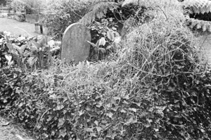 The grave of William Kitching, plot 2613, Bolton Street Cemetery