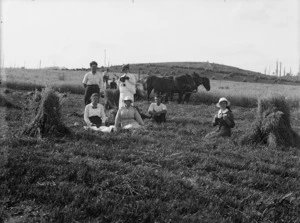 Group taking a break during oat harvesting