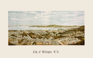 Potts, William 1859-1947 :City of Wellington, N.Z. W. Potts, lith; A.D. Willis, lithographer, Wanganui, N.Z.; Wrigglesworth & Binns, photo. Wanganui, A.D. Willis [1889].
