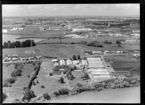 Ridgeland Development, Panmure Basin, Auckland