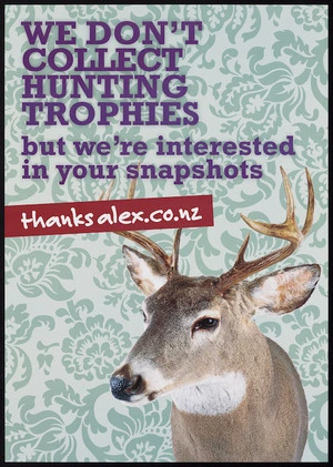 [Airplane Studios] :We don't collect hunting trophies but we're interested in your snapshots. thanksalex.co.nz [2010]