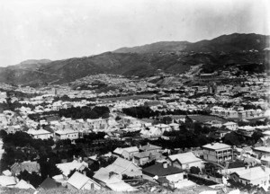 Looking south west over Wellington city, towards the Basin Reserve