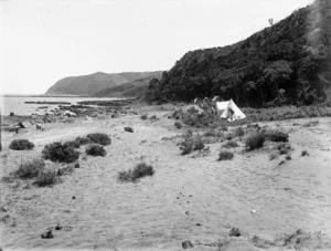 Plimmerton beach and coastline