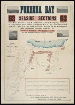 Pukerua Bay : 63 seaside sections / [surveyed by] Middleton, Smith & Coulter.