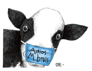 Adios M. bovis [Mycoplasma bovis]