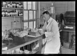 A man examining wool fibres in a laboratory