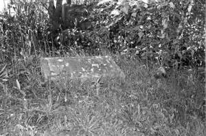 The Craig family grave, plot 72.N, Sydney Street Cemetery.