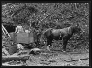 Joseph Divis and Cracker Lewis with horse pulling a wagon of coal on the Golden Lead tramway, near Big River