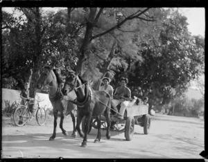 Group in horse-drawn cart, Rarotonga