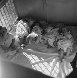 Babies at Karitane Hospital, Christchurch