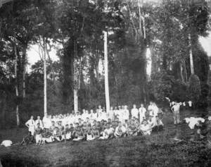 First electric light pole in Western Samoa, erected at Avele School