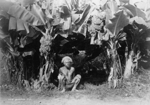Man in front of banana trees, Fiji