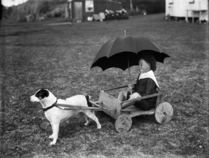 Boy in dog-drawn cart