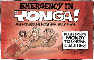 Tonga appeal