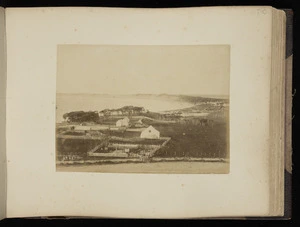 View of Waitangi, Chatham Island