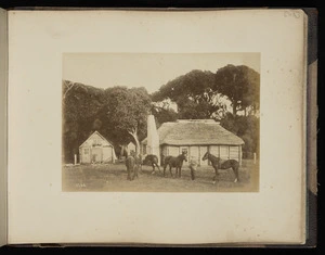 Settlement at Torotoro, Chatham Island