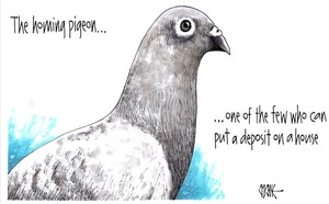 Pigeon deposit
