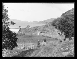 Scene at Karaka Bay, Wellington