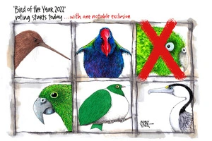 Bird of the year 2022… with one notable exclusion