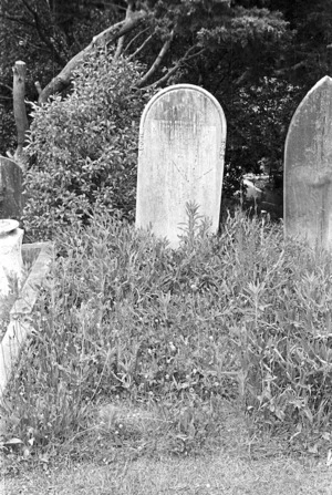 The grave of William James Biggs and the Ferguson family, plots 24.M and 25.M, Sydney Street Cemetery.