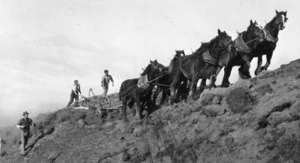 Men and horses, roadmaking at Blackhead