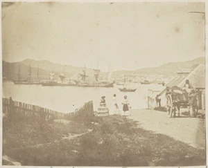 View of Wellington Harbour from Mulgrave Street