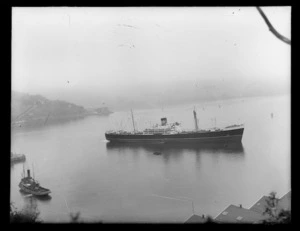 Steam ship Huntingdon in Port Chalmers harbour