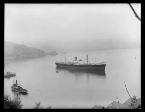 Steam ship Huntingdon in Port Chalmers harbour