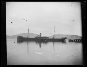 Steam ship Pakeha near wharf in Port Chalmers harbour