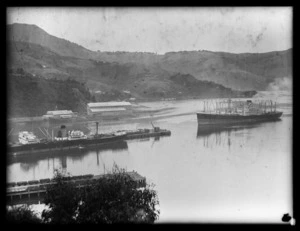 The South Africa Star nearing Port Chalmers