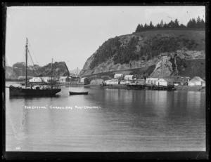 View of "The Cutting", Carey's Bay, Port Chalmers.