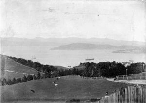 View of Wadestown, Wellington