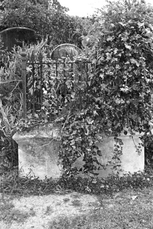 The Waddell family grave, plot 39.K, Sydney Street Cemetery.