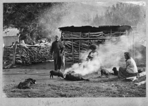 Maori group preparing to smoke eels, Koriniti